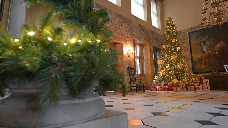 Treasurer's House Great Hall Christmas Tree 2025